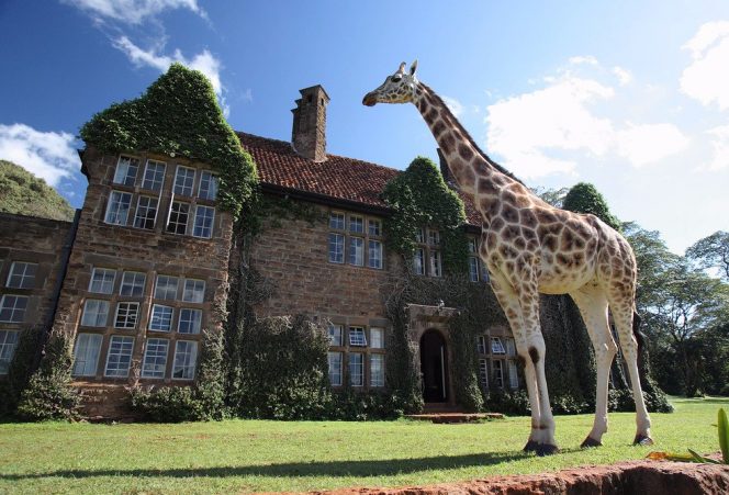 giraffe manor 02